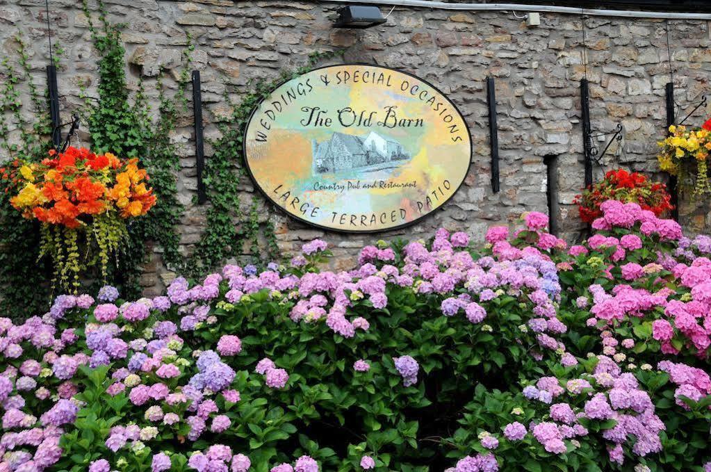 The Old Barn Inn Newport  Exterior photo